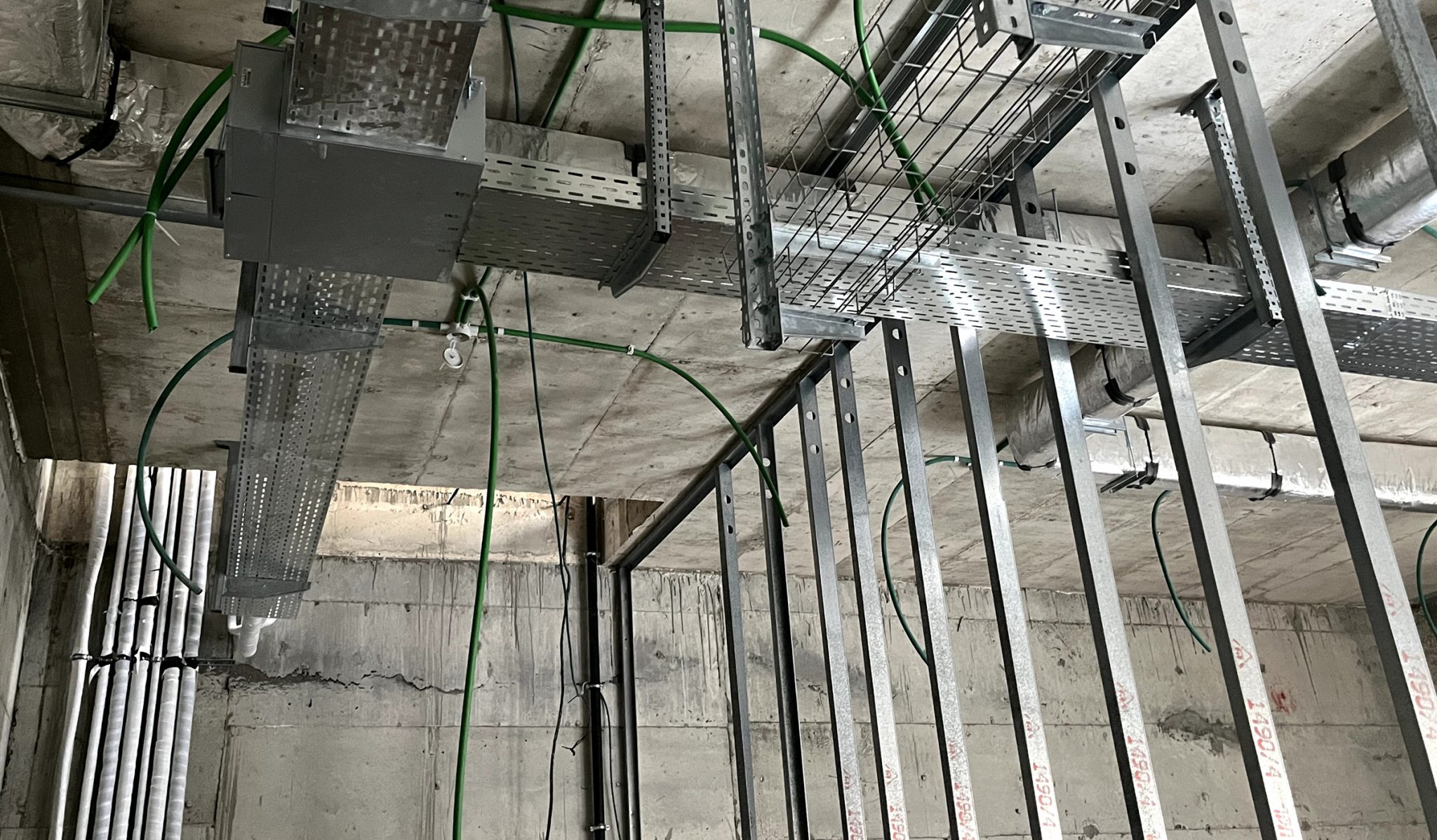 ברנדמן תמונה ראשית